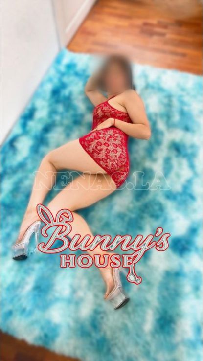 BUNNYS HOUSE VIP, foto #2, 0985001369, Quito, Ecuador