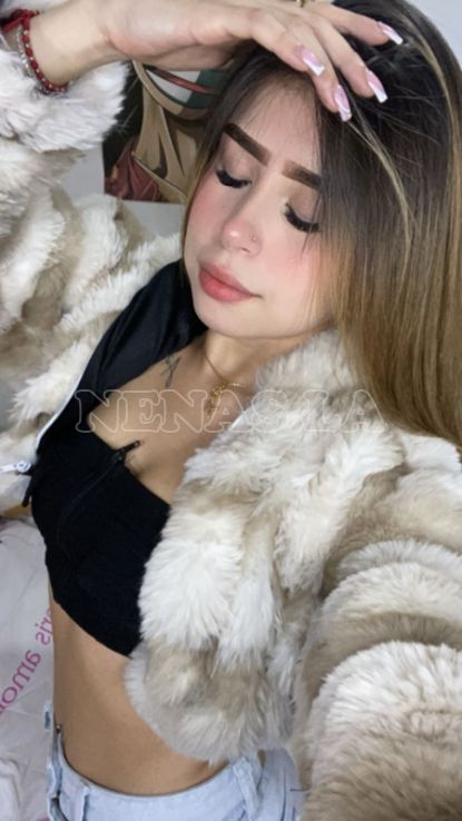 Paris, foto #6, 0993898215, Quito, Ecuador