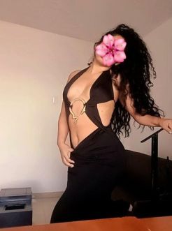 Perfil #11178 de Mariposa