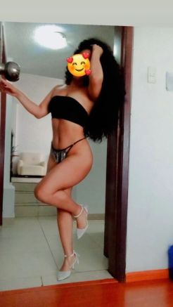 Mariposa  Negra