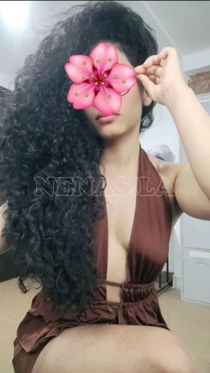 Mariposa, foto #4, 0995104732, Quito, Ecuador