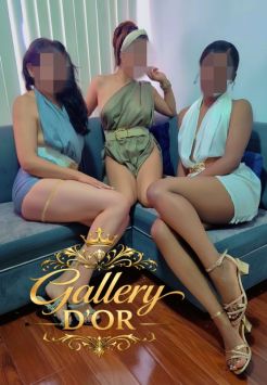 Perfil #11351 de - GALLERY DYOR -