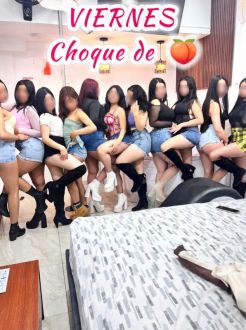 Perfil #6466 de QUITEÑAS TRAVIESAS