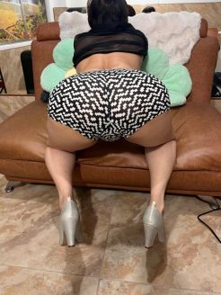 Perfil #7739 de Laila