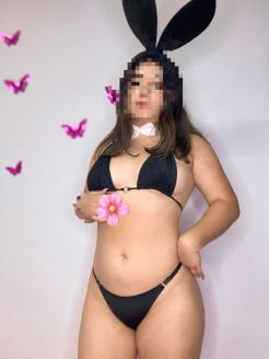 Perfil #8585 de Dominik