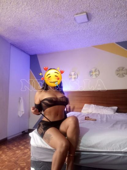 Michel, foto #4, 0997107869, Cuenca, Ecuador